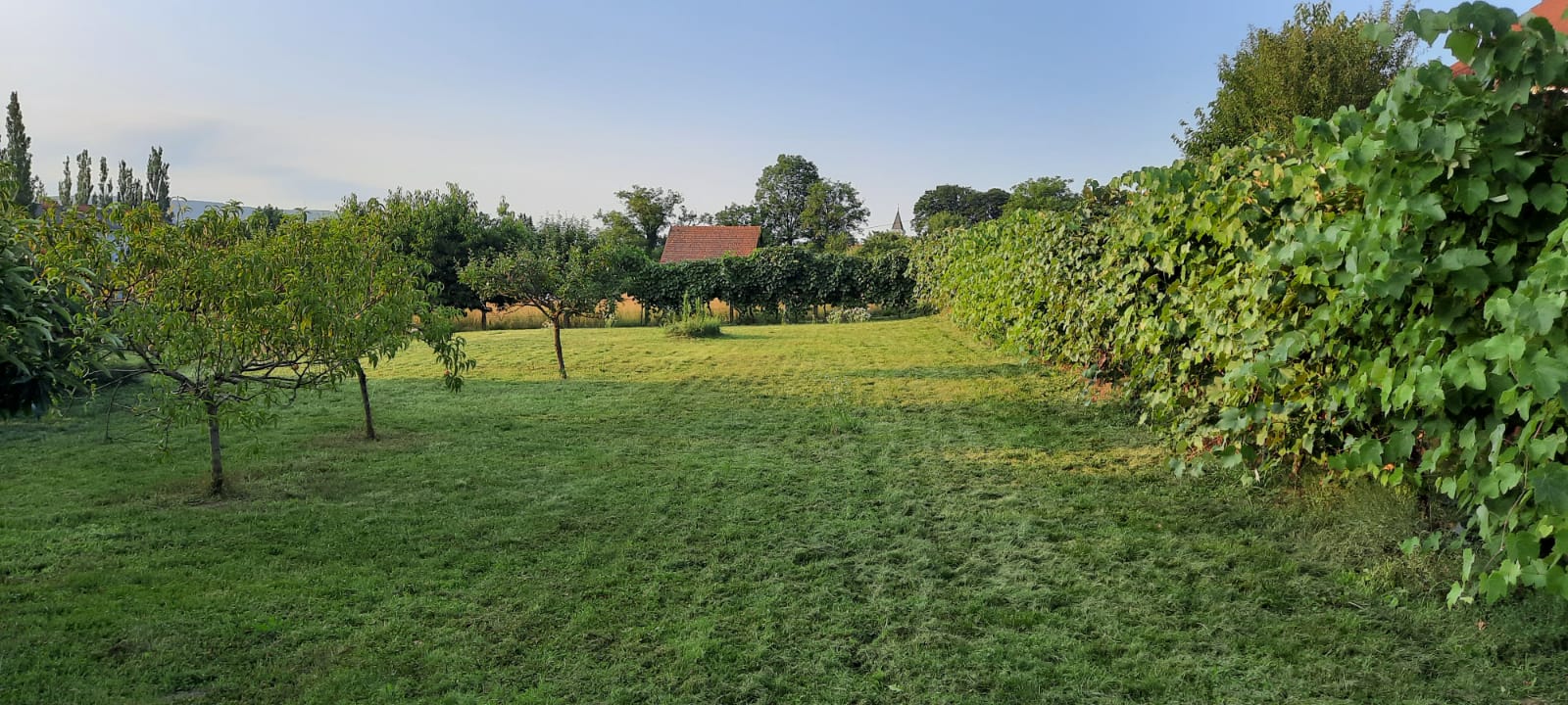 Grundstück Tieschen